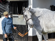 NH051025-12 - The Carpenter